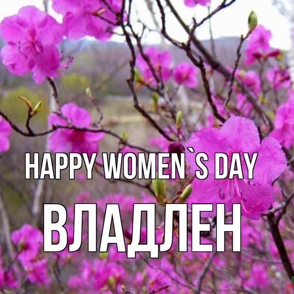 Greetings card с именем, Владлен happy women`s day международный женский день Greetings with text for free download 